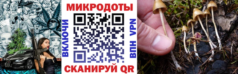 Псилоцибиновые грибы GOLDEN TEACHER  Сорск 